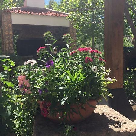 Casas Rurales La Huerta Salobre (Albacete) Bagian luar foto