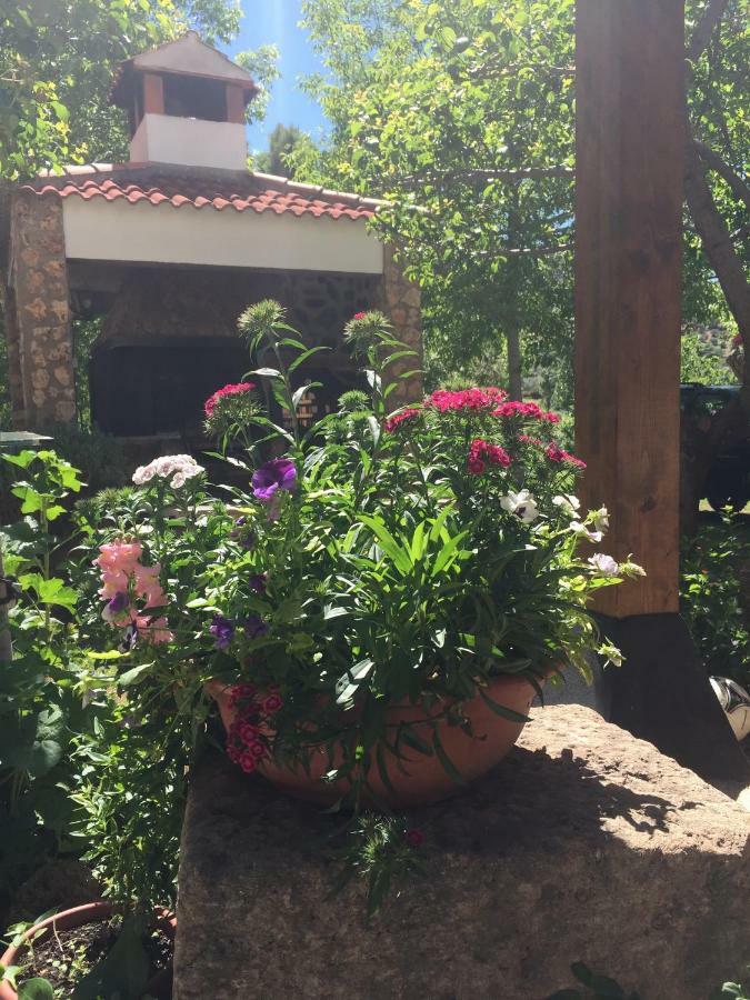 Casas Rurales La Huerta Salobre (Albacete) Bagian luar foto